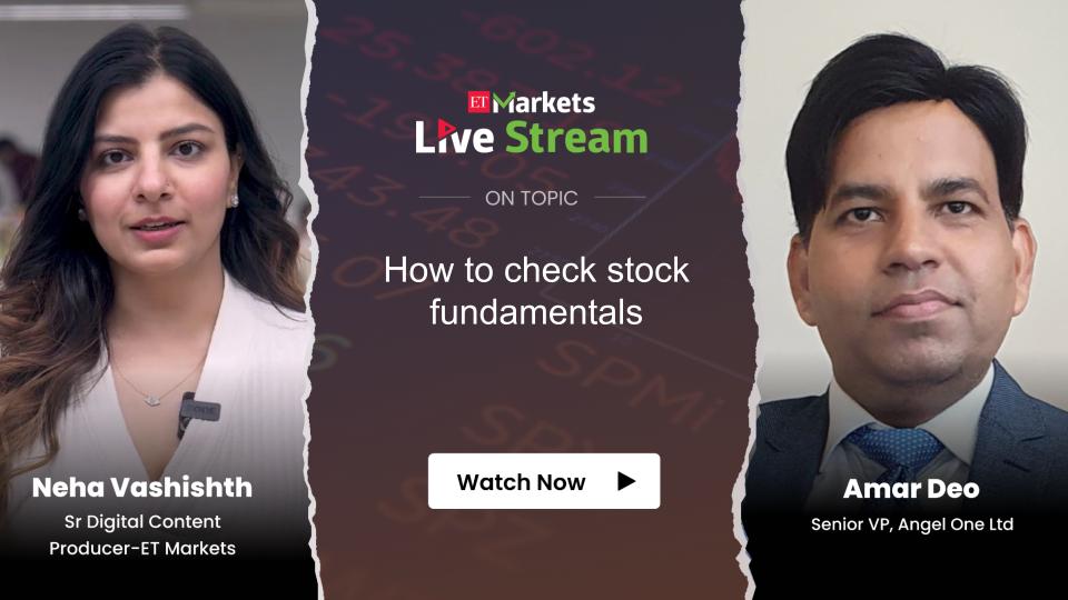 How to check stock fundamentals